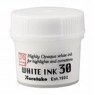 呉竹 カラーインク　ZIG　CARTOOONIST WHITE　INK　30g CNCE201-3 1本（ご注文単位10本）【直送品】