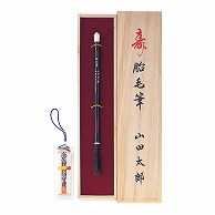 呉竹 胎毛筆 寿　曙塗り軸 JN503 1本（ご注文単位1本）【直送品】