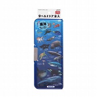 クツワ 学べる2ドア筆入　SF022  海洋生物 1個（ご注文単位5個）【直送品】