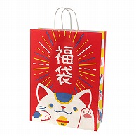 福袋 手提げ袋｜【シモジマ】包装用品・店舗用品の通販サイト