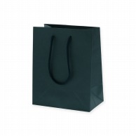 HEIKO 紙袋 カラーチャームバッグ 20-12 黒 10枚 4901755523041 通販