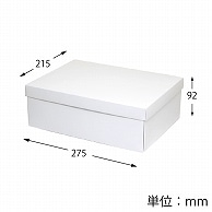 HEIKO 箱 白無地汎用ボックス カバン箱A 10枚