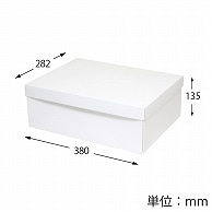 HEIKO 箱 白無地汎用ボックス カバン箱A 10枚 4901755701210 通販