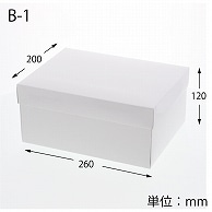 HEIKO 箱 エスプリボックス B-1 10枚