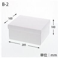 HEIKO 箱 エスプリボックス B-2 10枚