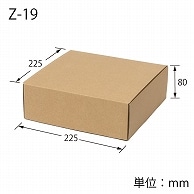 HEIKO 箱 ナチュラルボックス Z-19 10枚