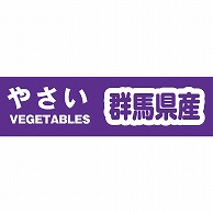 積水化学工業 セキスイ 野菜結束テープ 20mm幅 群馬県産 1巻