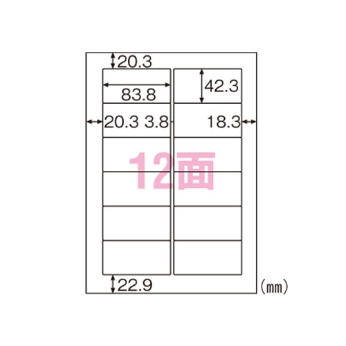 FSCGB861 環境に配慮したタック　12面 1パック (ご注文単位1パック)【直送品】