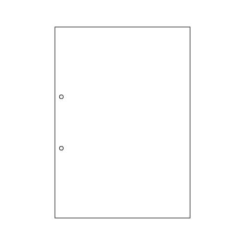 BPC2001 A4ノーカーボン白紙2穴 1冊 (ご注文単位1冊)【直送品】