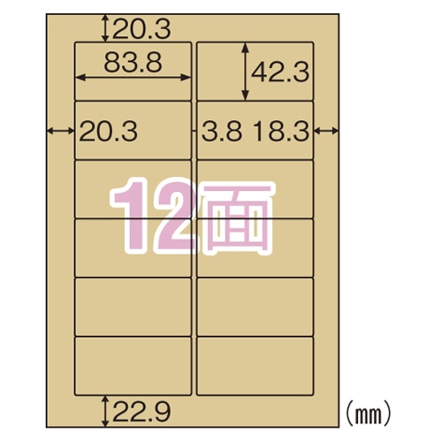 OPC861 クラフト紙ラベルライト　12面 1パック (ご注文単位1パック)【直送品】