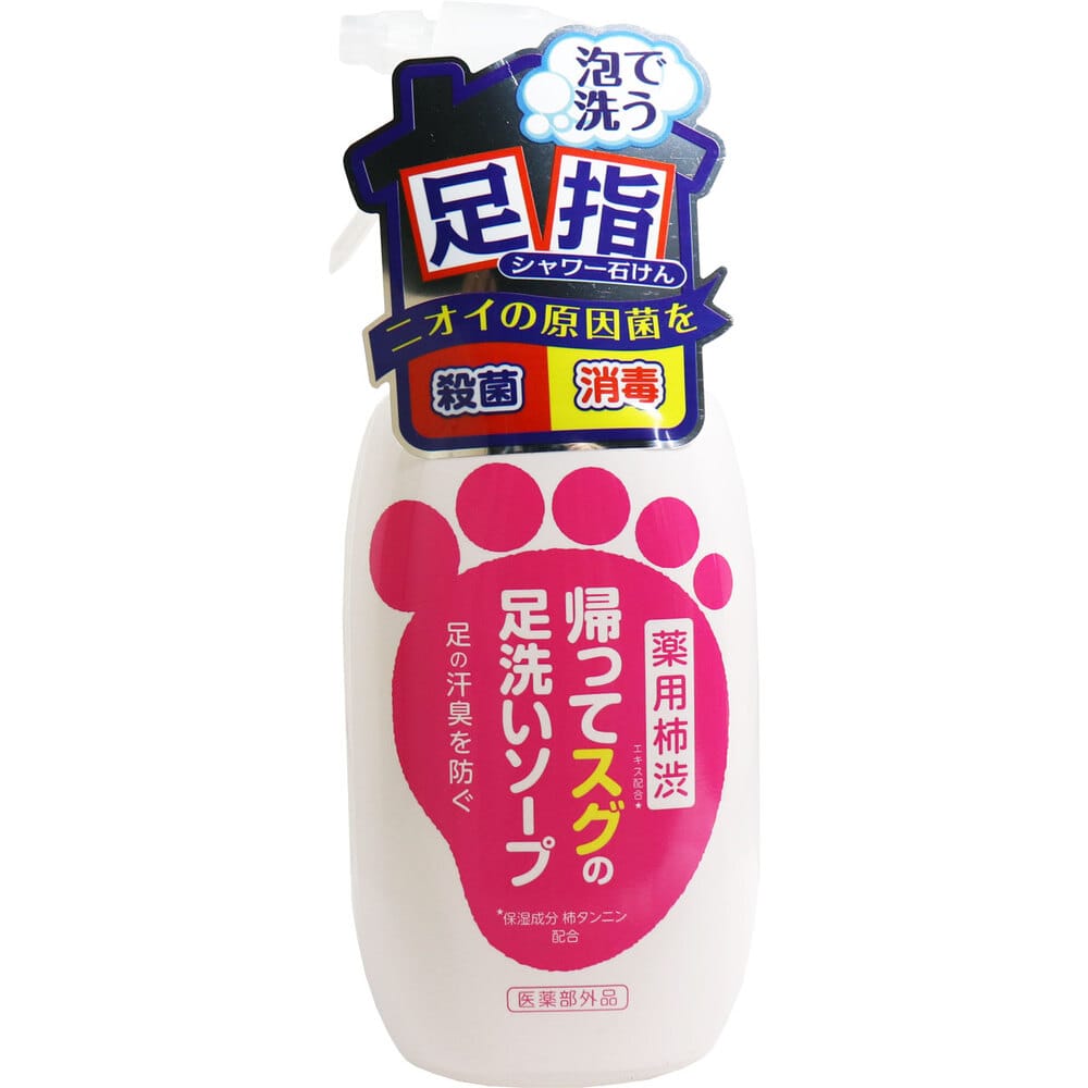 マックス　薬用柿渋 帰ってスグの足洗いソープ 250mL　1個（ご注文単位1個）【直送品】