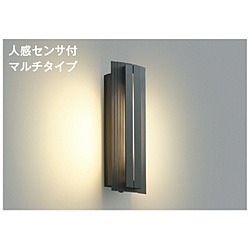 コイズミ　KOIZUMI 玄関・廊下・トイレ灯 AU40241L 1個（ご注文単位1個）【直送品】