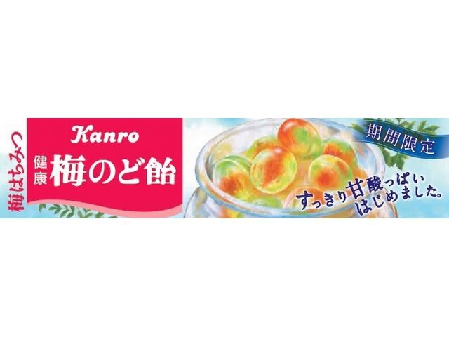 カンロ100健康梅のど飴スティック11粒※軽（ご注文単位10個）【直送品】