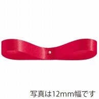 東京リボン リボン　エクセルサテン　03300 24×100 #05 1巻（ご注文単位1巻）【直送品】