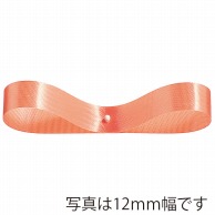 東京リボン リボン　エクセルサテン　03300 24×100 #46 1巻（ご注文単位1巻）【直送品】