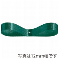 東京リボン リボン　エクセルサテン　03300 24×100 #62 1巻（ご注文単位1巻）【直送品】