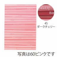 東京リボン バッグ　HDPバッグストライプL　62218 L #45 1袋（ご注文単位1袋）【直送品】