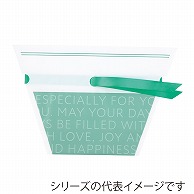 東京リボン 梨地ポットカバー　61223 5号 #4　ミスティグリーン 1パック（ご注文単位1パック）【直送品】