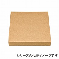 仕出し・高級弁当容器｜【シモジマ】包装用品・店舗用品の通販サイト