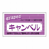 ヒカリ紙工 シール　SMラベル 800枚入 N-6817  キャンベル　1袋（ご注文単位1袋）【直送品】