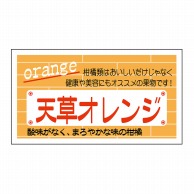 ヒカリ紙工 シール　SMラベル 800枚入 N6875 天草オレンジ　1袋（ご注文単位1袋）【直送品】