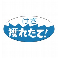 ヒカリ紙工 シール　SMラベル 750枚入 SG129 けさ獲れたて！　1袋（ご注文単位1袋）【直送品】