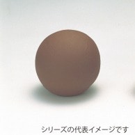 松村工芸 アクアフォーム　アクアボール 20 10-3028-0 1個（ご注文単位1個）【直送品】