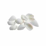 松村工芸 ホワイトシェル 約120g 165-1108-0 1束（ご注文単位1束）【直送品】