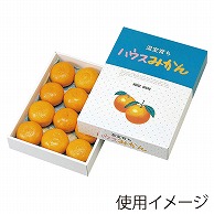 ヤマニパッケージ ギフト箱　ハウスみかん  L-330 20枚/束（ご注文単位5束）【直送品】