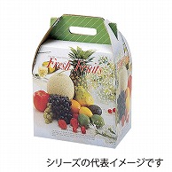 ヤマニパッケージ 手提箱　ニューキャリー ミニ L-203 10枚/束（ご注文単位10束）【直送品】