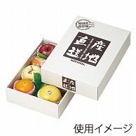 ヤマニパッケージ ギフト箱　旬の味覚 大 L-311 10枚/束（ご注文単位4束）【直送品】