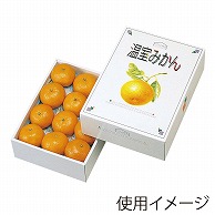 ヤマニパッケージ ギフト箱　温室みかん 2kg L-332 20枚/束（ご注文単位3束）【直送品】