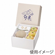 ヤマニパッケージ ギフト箱　プチ・ロイヤル旬果  L-492 10枚/束（ご注文単位3束）【直送品】