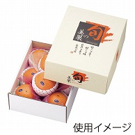 ヤマニパッケージ ギフト箱　旬の美果 3kg L-498 10枚/束（ご注文単位5束）【直送品】