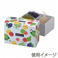 ヤマニパッケージ ギフト箱　ロイヤルBOX いろどりパレット L-2074 10枚/束（ご注文単位4束）【直送品】