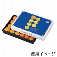 ヤマニパッケージ ギフト箱　ハウスみかん 大 L-468 10枚/束（ご注文単位5束）【直送品】