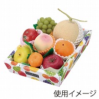 ヤマニパッケージ 盛箱V　いろどり 中 L-2199 10枚/束（ご注文単位10束）【直送品】