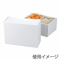 ヤマニパッケージ ギフト箱　ロイヤルBOX ホワイト L-2211 10枚/束（ご注文単位4束）【直送品】