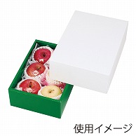 ヤマニパッケージ ギフト箱　グロス　身グリーン 2 LTO-200 10枚/束（ご注文単位4束）【直送品】