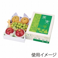 ヤマニパッケージ ギフト箱　果実　四季旬彩 小　グリーン L-2257G 10枚/束（ご注文単位5束）【直送品】