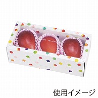 ヤマニパッケージ ギフト箱　みどりのめぐ実 3P　ホワイト L-2324 10枚/束（ご注文単位10束）【直送品】