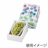 ヤマニパッケージ ギフト箱　彩りぶどう 1房 L-2367 10枚/束（ご注文単位6束）【直送品】