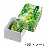 ヤマニパッケージ ギフト箱　シャインマスカット 小 L-2417 10枚/束（ご注文単位4束）【直送品】