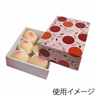 ヤマニパッケージ ギフト箱　うららかじつ 小 L-2428 10枚/束（ご注文単位5束）【直送品】