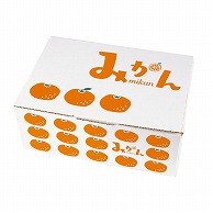 ヤマニパッケージ ギフト箱　イラストみかん 3kg L-2442 10枚/束（ご注文単位8束）【直送品】