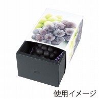 ヤマニパッケージ ぶどうスライドBOX  L-2454 10枚/束（ご注文単位5束）【直送品】