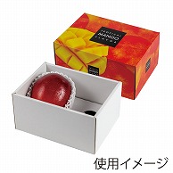 ヤマニパッケージ ギフト箱　トロピカルマンゴー 2ヶ L-2483 10枚/束（ご注文単位8束）【直送品】