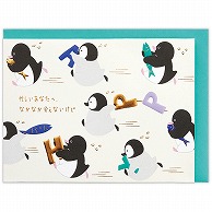 日本ホールマーク 誕生お祝い　立体カード ゆるアニマル　ペンギン 811952 1枚（ご注文単位6枚）【直送品】