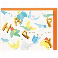 日本ホールマーク 誕生お祝い　立体カード ゆるアニマル　インコ 829865 1枚（ご注文単位6枚）【直送品】