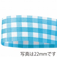 青山 リボン　ギンガムチェック　6740 36×46 #32 1巻（ご注文単位1巻）【直送品】